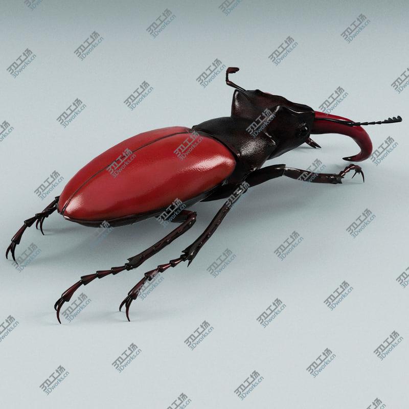 images/goods_img/20210319/Insects Collection V6/4.jpg
